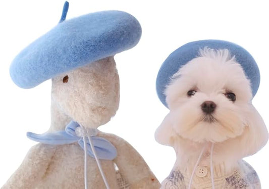 Dog Beret Hats Cats Hats Fashion Four Seasons Funny Wool Winter Pet Hat (Blue)