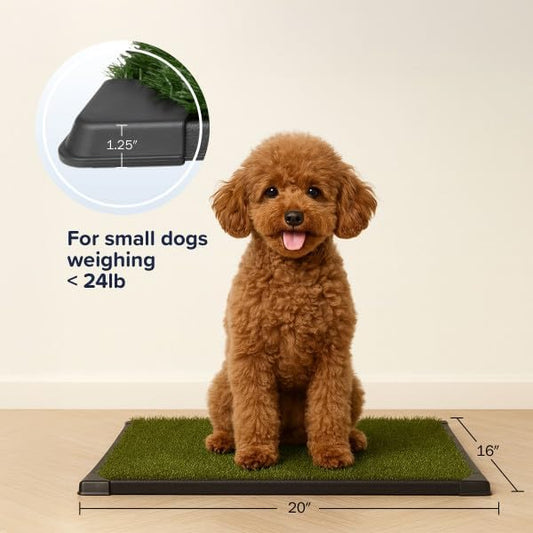 Artificial Grass Puppy Pad with Tray 16x20 inch | Reusable Indoor & Outdoor Dog Potty Training Mat System | Washable Fake Grass Pet Housebreaking Pad for Puppies & Small to Medium Dogs by PETMAKER