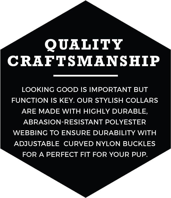 Wolfgang Heavy Duty, Adjustable Dog Collar with Quick Release Nylon Buckle for Walking & Training, DarkSkies Print, Medium