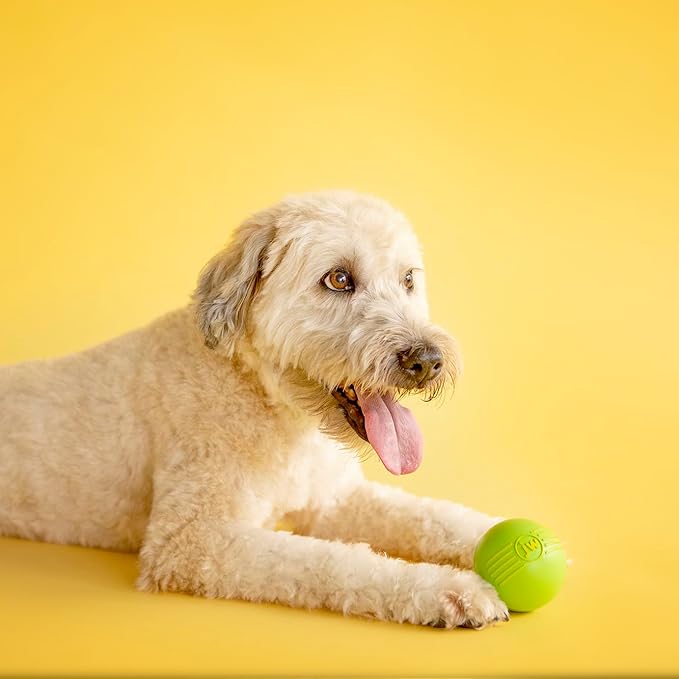 JW Pet Dog iSqueak Ball Dog Toy, Large, (Assorted Colors)