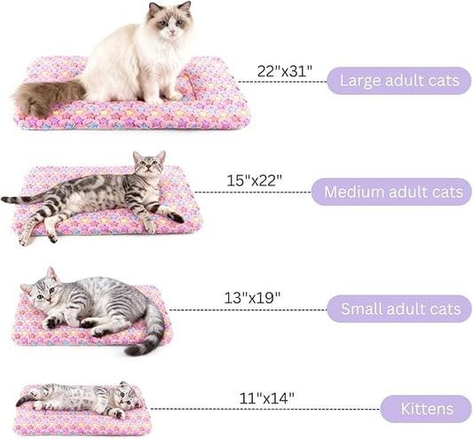 2 Pack Cat Blankets for Indoor Cats, Ultra Soft Reversible Mat, Fluffy Flannel Blanket for Small Dogs and Cats, Washable Pet Pad