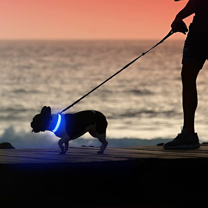 Illumifun Light Up Dog Collar, USB Rechargeable LED Dog Collar, Adjustable Reflective Lighted Pet Collar for Night Walking Camping (Blueā
¢, Large)