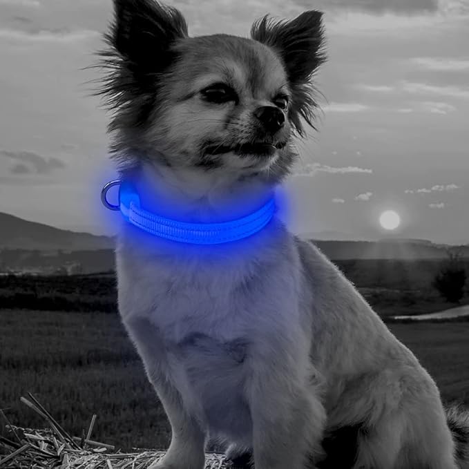 BSEEN Light Up Dog Collar - Reflective LED Dog Collar Rechargeable Glowing Cat Collars Adjustable Puppy Collar Safety Dog Lights for Night Walking (Blue, XS)