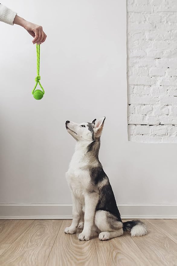 Dog Training Ball on A Rope Rubber Dog Rope Toys Ball with Handle for Tug of War K9 Training Rewards for Belgian Malinois Gifts, 5cm in Diameter for Small Dogs 0-30 Lbs, Pack of 4