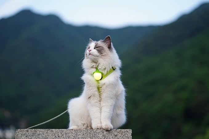 LaRoo LED Dog Collar Charm, Rechargeable Light with 3 Modes, Natural Rubber Pet Safety Light, 5 Hour Glow(Yellow)
