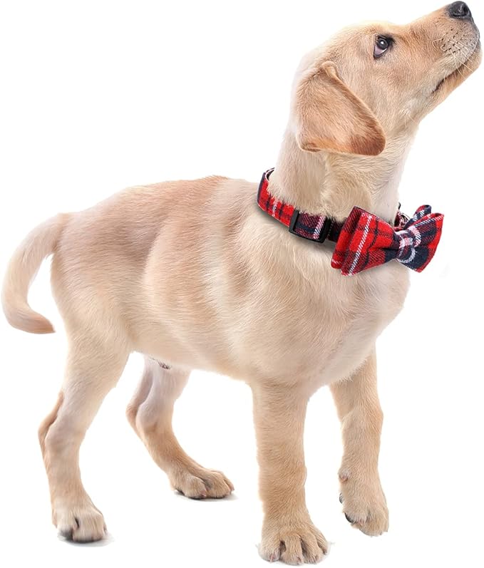 Faleela Soft &Comfy Bowtie Dog Collar,Detachable and Adjustable Bow Tie Collar,for Small Medium Large Pet (L, Red)