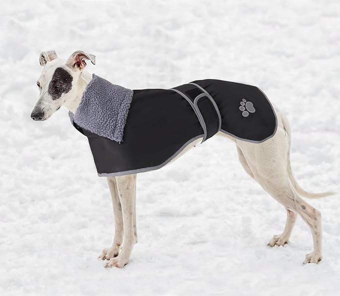 Geyecete Dog Winter Coat Geyecete Greyhound Raincoat Fabric with Lamb Velvet Inside Outdoor Dog Apparel with Adjustable Bands for Medium, Large Dog-Black-XS