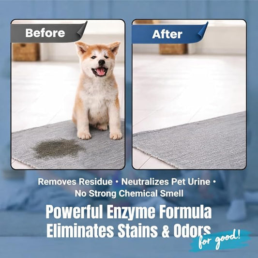 Bioclean Pet Carpet Cleaner & Deodorizer – Eliminates Pet Urine Smell, Stain & Odor Remover, No Residue, Made in USA – 32oz
