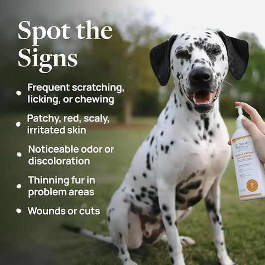 Veterinary Formula Clinical Care Antiseptic & Antifungal Medicated Shampoo and Spray for Dogs and Cats - Helps Alleviate Scaly, Greasy, or Red Skin - Paraben, Dye, and Soap Free, 2 Pack Bundle