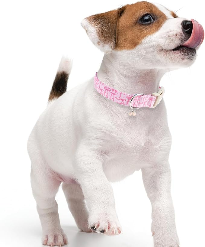 Faygarsle Cute Pink Bow Pattern Dog Collar for Summer Spring DesignSmall Medium Large Dogs XS