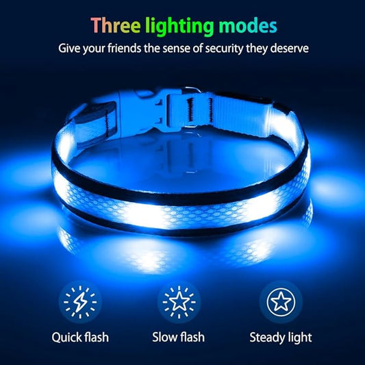 Illumifun Light Up Dog Collar, USB Rechargeable LED Dog Collar Glow in The Dark, Reflcetive Safety Glow Collar for Dogs Walking at Night (Small, Light Blue)