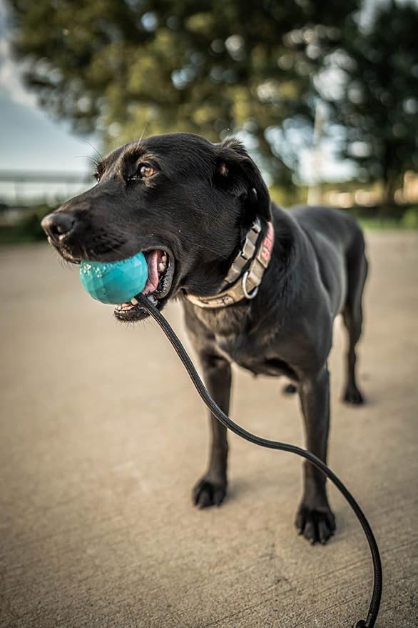 K9 Ops Dog Ball on a Rope Moki Tug Toy - Solid Rubber Fetch Training Reward - Large Dogs Durable Indestructible Chewers Pitbull Dobermann Rottweiler Shepherd (Tiger Orange - Black Rope)