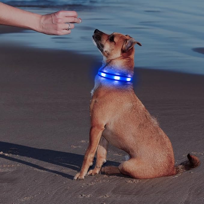 Illumifun LED Dog Collar, USB Rechargeable Light Up Collar Glow in The Dark, Reflcetive Safery Pet Light for Large Dogs Walking at Night (Large, Light Blue)