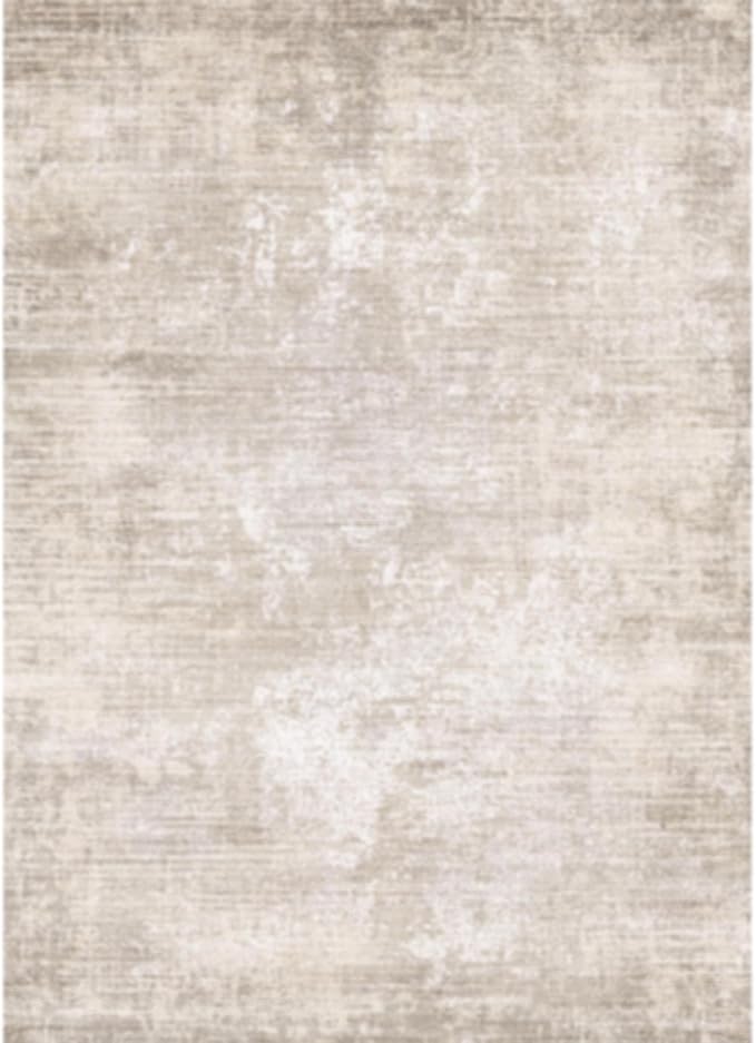 4x8 Washable Kitchen Area Rug: Farmhouse Stain-Resistant Modern Style Rug for Living Room Bedroom Wide Soft Carpet for Entryway Dining Room Thin Hallway Floor Mat with Non Slip Backing(4x8,Warm/Beige)