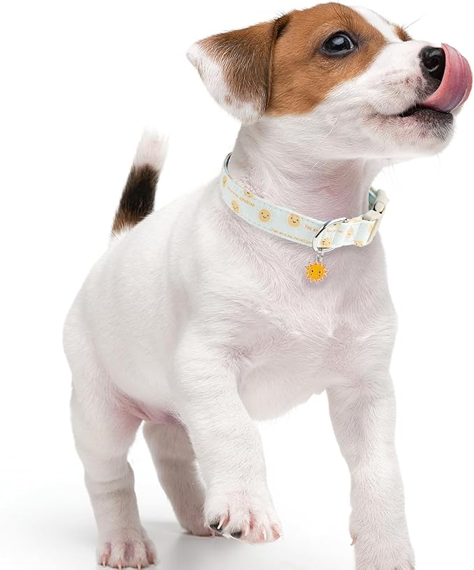 Faygarsle Sunshine Pattern Dog Collar, Adjustable Cotton Fabric, Cute Design for Small Medium Large Dogs XS
