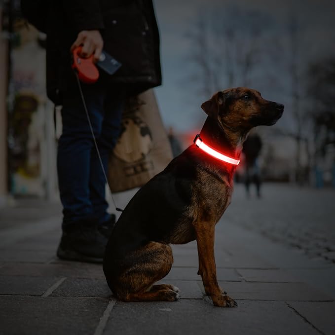 Illumifun Light Up Collar for Small Dogs, USB Rechargeable LED Dog Collar Glowing in The Dark, Safety Collar Light for Your Pups (Red, Small)