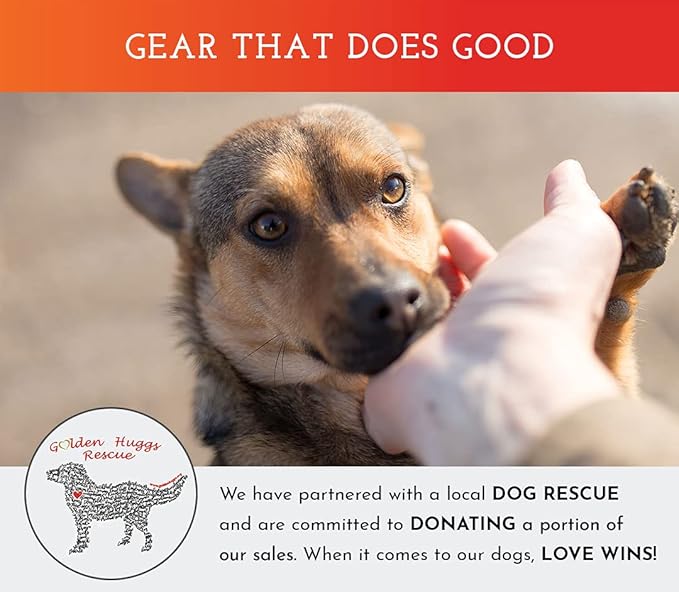 SPOT THE DOG! Reflective Dog Collar - Adjustable Pet Collars, Safe, Durable, Comfortable Dog Walking Accessories for Medium Dog, Hunting Dog, Puppy, Lightweight Boy, Girl Dog Collars (Blaze Orange, M)