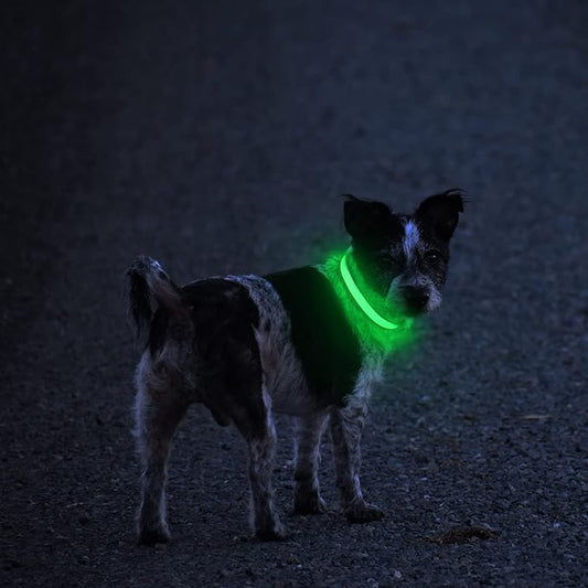MASBRILL LED Dog Collar - Light Up Dog Collars Rechargeable - Waterproof Night Walking Glowing Dog Collar for Small, Medium, Large Dogs
