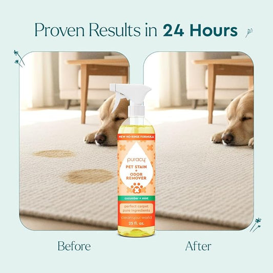Puracy Pet Stain and Odor Remover - Enzyme Cleaner for Dog & Cat Urine and Poop on Carpet, Professional Pet Carpet Stain Remover, Cucumber & Mint, 25oz