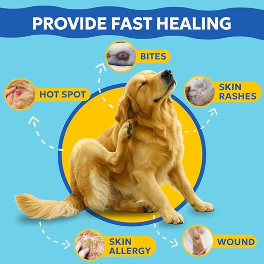 Forticept BlueButter Dog Wound Care Gel, Hot Spot Treatment for Dogs, Itch Relief, Moisturizing, Prevents Infection, Scratches & Skin Ulcers, Cracked Paw Pads Gel, 3 Ounces (3 OZ)