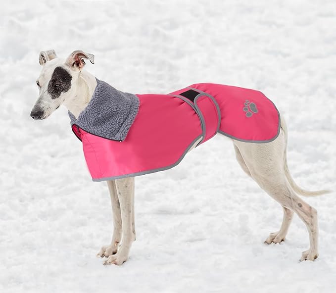 Geyecete Dog Winter Coat Geyecete Greyhound Raincoat Fabric with Lamb Velvet Inside Outdoor Dog Apparel with Adjustable Bands for Medium, Large Dog-Pink-XL