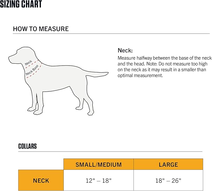 Carhartt Nylon Webbing Dog Collar, Fully Adjustable W/Durable Side Release Buckle, Coral Glow, Large