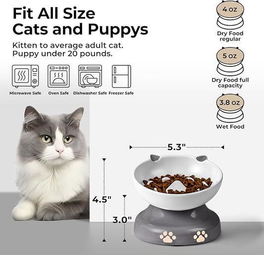 Y YHY Slow Feeder Cat Bowl, Ceramic Elevated Cat Bowl Tilted Design Slow Feeder for Dog and Cat for Dry and Wet Food, Gray