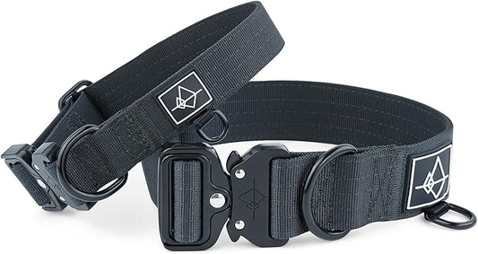 Made to ROAM Premium Dog Collar - Adjustable Heavy Duty Nylon Collar with Quick-Release Metal Buckle (New York Afterlight, Classic Size 0)