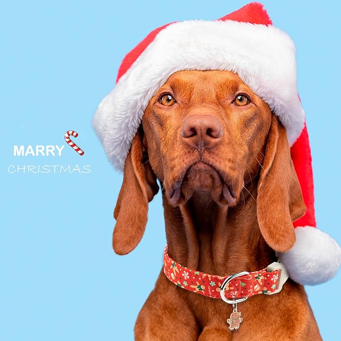 Faygarsle Christmas Dog Collar, Red Gingerbread Pattern, Plastic Buckle with Metal D-Ring, Holiday Pet Accessory, for Small Medium Large Dogs L