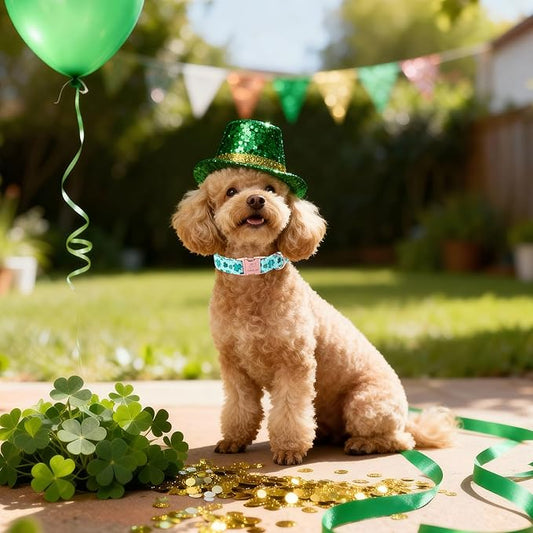 St. Patrick's Day Dog Collar for Puppy Small Dogs - Fresh Green Clover Dog Collars, Irish Shamrock Festival Pet Collars, Adjustable Heavy Duty Dogs Collar with Metal Buckle XS