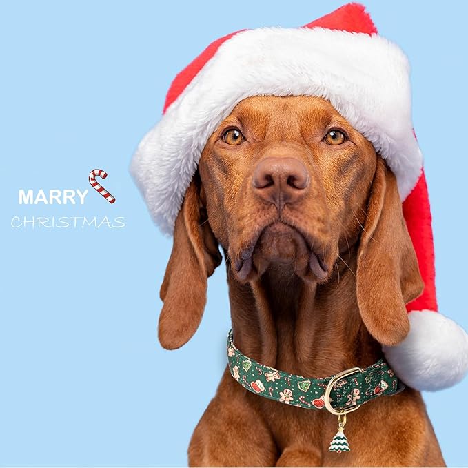 Faygarsle Green Dog Collar Christmas Design Gingerbread Man Pattern for Small Medium Large Dogs Collar Cute Stylish Girl Boy Christmas Dog Collar M