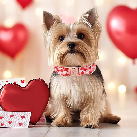 Valentines Dog Collar, Cute Pink Valentine Dog Collars, Doodle Heart Pattern, Adjustable Heavy Duty Pet Collar for Small Medium Large Dogs with Metal Buckle S