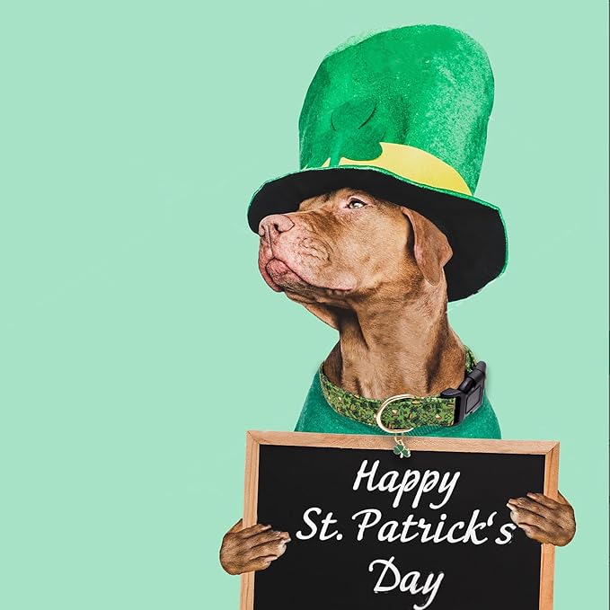 Faygarsle St Patrick's Day Dog Collar Cute Holiday Collar for Small Medium Large Dogs Green Trefoil Print Lucky Straw Cotton Dog Collar L