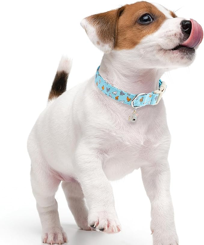 Faygarsle Funny Chicken Pattern Dog Collar, Cotton Fabric, Light Blue with Farm Animal Print for Small Medium Large Dogs XS