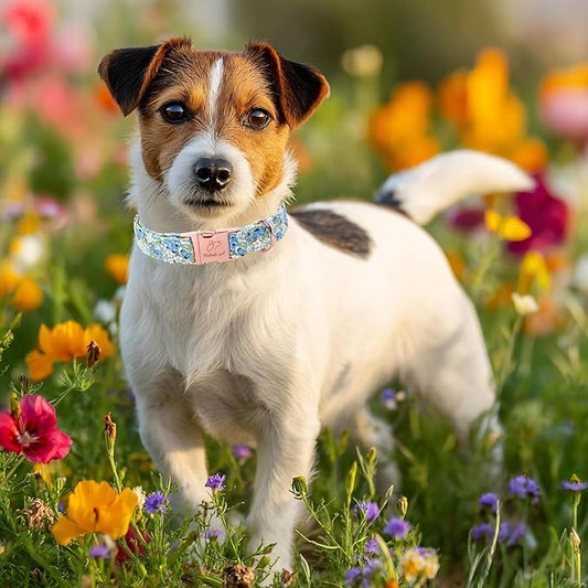 Blueberry Garden Dog Collar, Spring/Summer Cottagecore Floral Dog Collars, Adjustable Heavy Duty Girl Dogs Collar for Small Medium Large Dogs with Metal Buckle XS