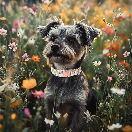 Floral Dog Collar - Cute Summer Flowers Dog Collars for Small Dogs, Durable Adjustable Male Female Puppy Collar with Metal Buckle S