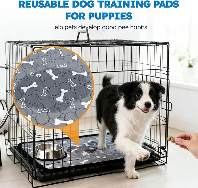 Washable Pee Pads for Dogs, Absorbent Reusable Puppy Training Pads, Leakproof, Non-Slip, Waterproof Cat Doggie Pad Pet Potty Mat for Indoor&Outdoor, Whelping, Playpen, Crate, Gray 20"x28"
