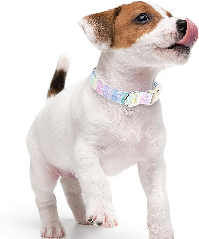 Faygarsle Pastel Butterfly Print Dog Collar, Adjustable with Quick-Release Buckle, Lightweight Summer Design for Small Medium Large Dogs Colorful S