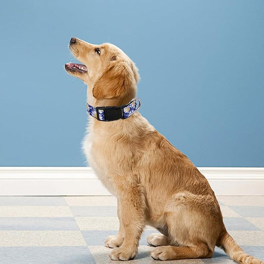 Reflective Dog Collar, Adjustable Soft Neoprene Padded Nylon Pet Collars with Buckle for Puppy and Small Dogs, Cats, Small Daisies Blue,M