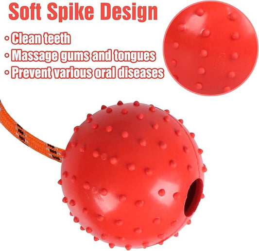 2 Pack Dog Ball, K9 Ball on Rope for Reward, Fetch, Play (Blue and Red)