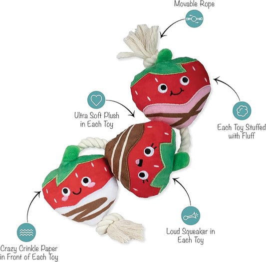 Fringe Studio Plush Dog Toy with Rope, Covered with Love, Petshop Collection (314495)