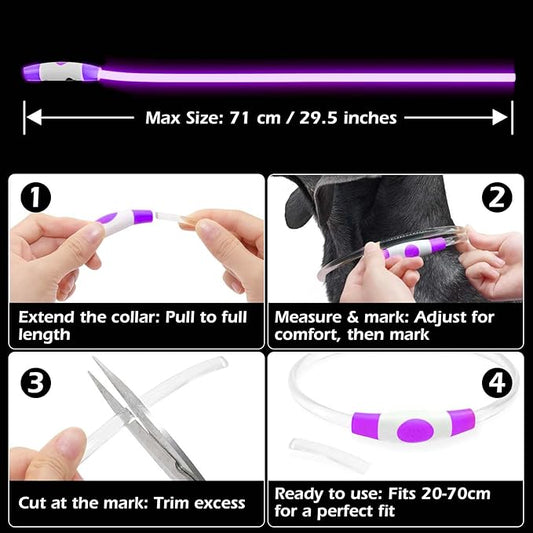 Rechargeable Reflective Pet Gear LED Dog Collar Light Up, Flashing Glowing Illuminated Collar for Night Walking, Neon Pet Collar with Light for Small/Medium/Large Dogs (Purple, 1-Pack)