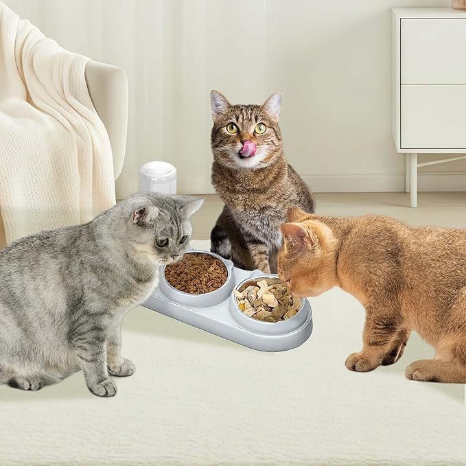 Marchul 3 in 1 Cat Bowl, Cat Food and Water Bowl Set with Water Dispenser and Stainless Steel Bowls, 15° Tilted Pet Raised Three Bowls for Indoor Cats, Small or Medium Sized Dogs,(Light Gray)