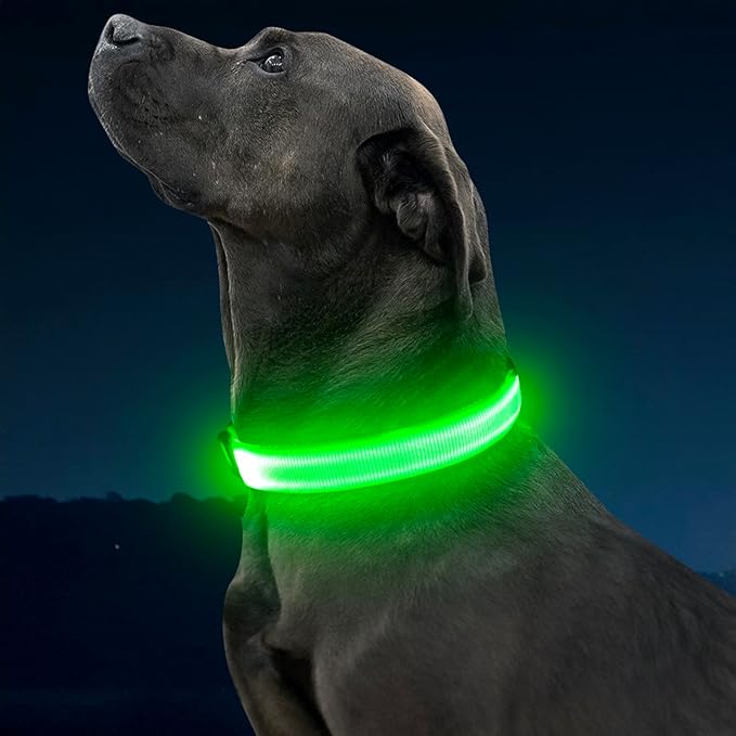 Illumifun LED Dog Collar, Light Up Dog Collar Rechargeable Glow in Dark Pet Collar Safety Dog Lights for Night Walking Camping (Green, Large)