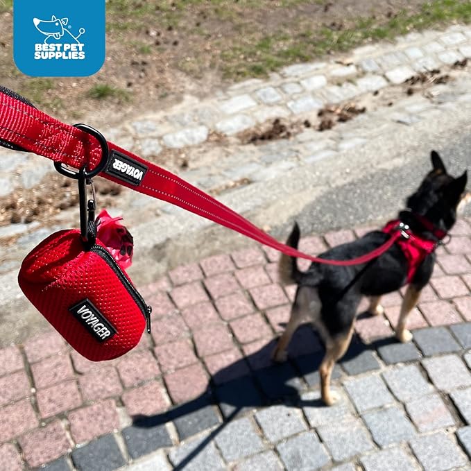 Best Pet Supplies Dog Poop Bag Holder Leash Attachment with 15 Bags, Lime Green, Reusable Mesh Dispenser Pouch for Travel, Walking, Park, and Outdoor Use, Soft and Durable with Clip-On