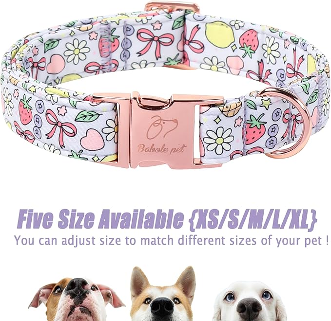 Cute Dog Collar, Spring Summer Pastel Dog Collars, Fruit Garden Dream Puppy Collar, Adjustable Heavy Duty Pet Collar for Small Medium Large Dogs with Metal Buckle L