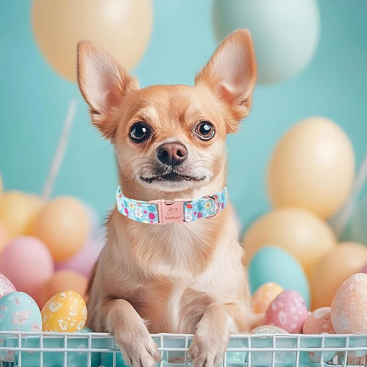 Easter Dog Collar, Cute Blue Bunny Easter Collar for Boy Girl Dogs, Adjustable Heavy Duty Spring Holiday Dog Collars for Small Medium Large Dogs with Metal Buckle XS