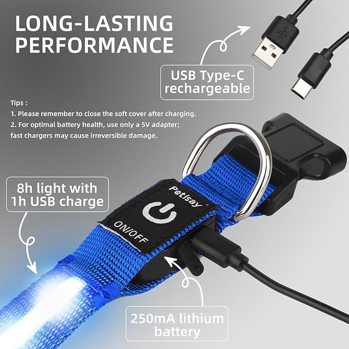 LED Dog Collar for Small Dogs Cats - Fully Waterproof & Adjustable Glow Collar - USB-C Rechargeable for Night Walking, Safety - Flashing Lighted Collar for Dogs(Blue,S)
