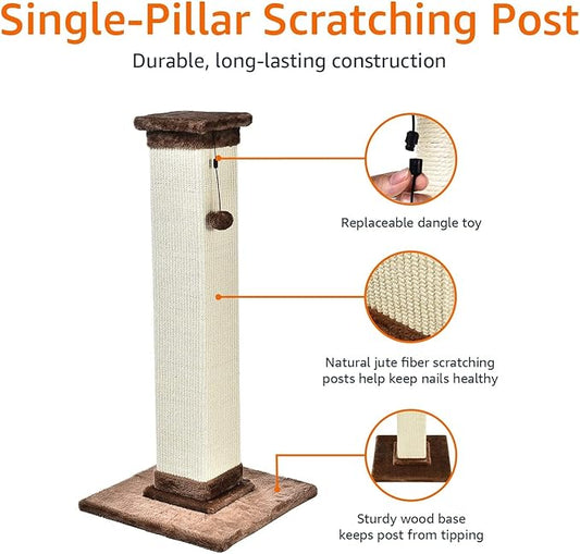 Amazon Basics Sturdy Cat Scratching Post for Indoor Cats & Kittens, Classic Single Post with Sisal Rope, Jute Fiber, Wood Base, Large (35.4"H), Brown
