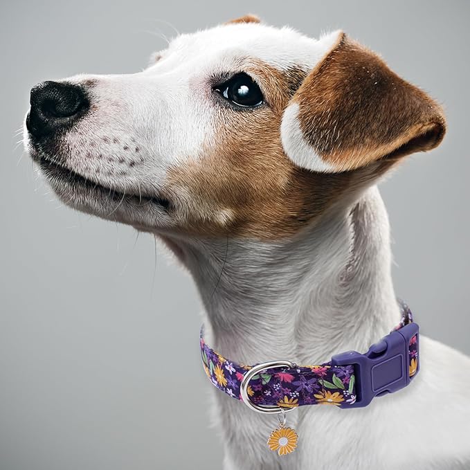 Faygarsle Cotton Dog Collar Cute Dog Collars for Small Medium Large Dogs Purple Yellow Floral Colored Options Soft and Fancy Pet Collars for Girls Flower Pattern for Girl Dog Collar L